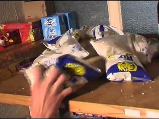 À la poursuite de Bernard l'Hermite