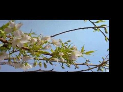 Hz.Muhammed (s.av)-Çok Cömertti