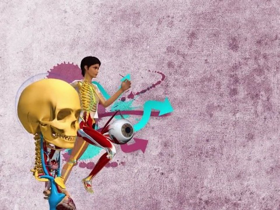 Enseignement de l'anatomie avec la 3d