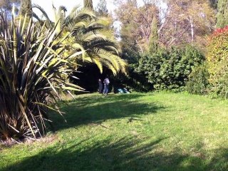 Tom et papi - On tond le gazon - 4 mars 2011