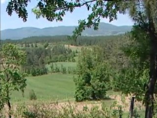 Chasse au sanglier à l'arc
