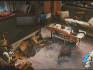 Cats and Dogs: The Revenge of Kitty Galore