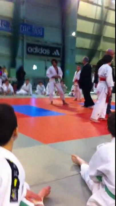 ST MAUR DES FOSSéS   16/01/2011 SéLECTION VAL DE MARNE