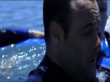 El Arrecife - Trailer Español