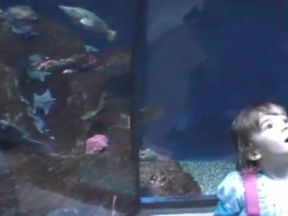 CANADA Fév. 2011 - Aquarium de Québec - Tunnel Poissons (1)