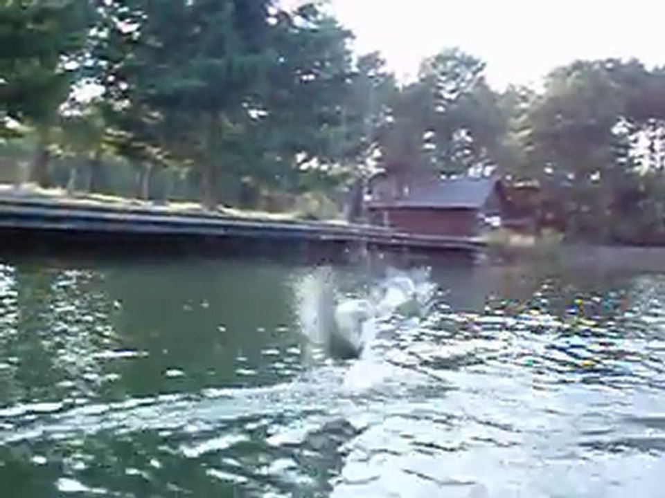 peche en float tube a tremelin