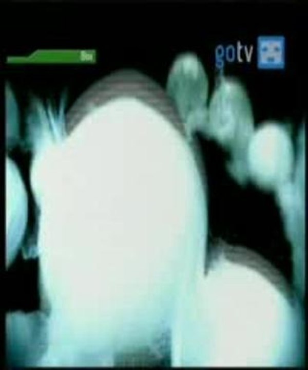 Marilyn Manson - Personal Jesus