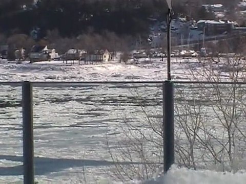 CANADA Fév. 2011 - Aquarium de Québec - Phoques (1)