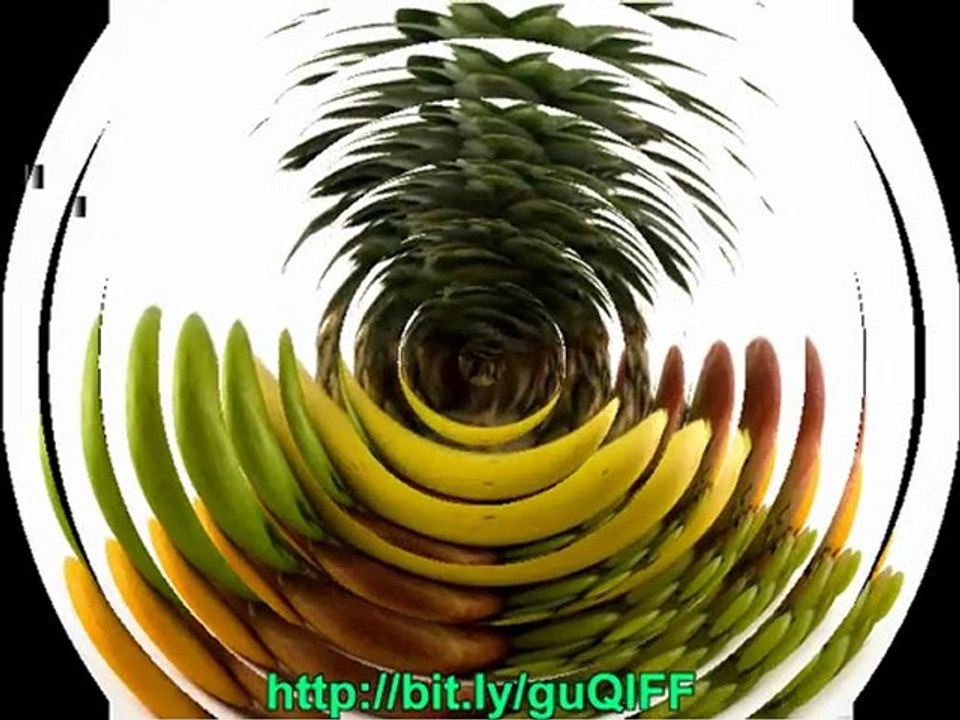 Diet Solution- My Lifestyle Diet