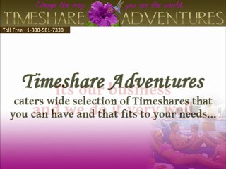 Various Timeshares You Can Have