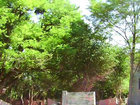 big game veckring juin 2010