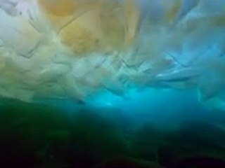 birde böyle görün dünyayı