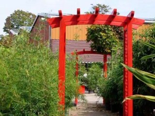 Containerpflanzen Münster, Westf GARTEN-WELTEN ...