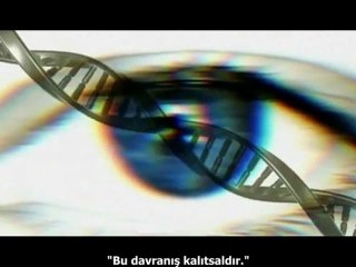 Zeitgeist 3 Yol Almak Belgeselinden Kesitler Bölüm 2