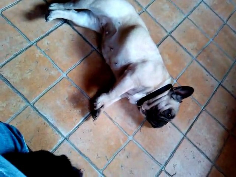 Anouck et Vyp une grande histoire d'amour qui commence :)