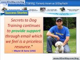 Secrets To Dog Training | Obedience Training Dogs