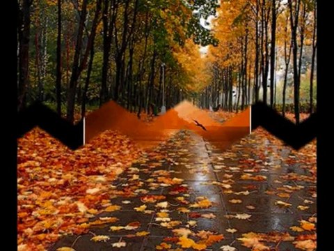 ОСЕНЬ ЗДЕСЬ, ЗДЕСЬ СНОВА