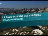 La face sauvage des Pyrénées - La saison des lumières (1)