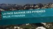 La face sauvage des Pyrénées - La saison des lumières (1)