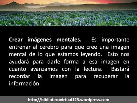 Técnicas de Lectura