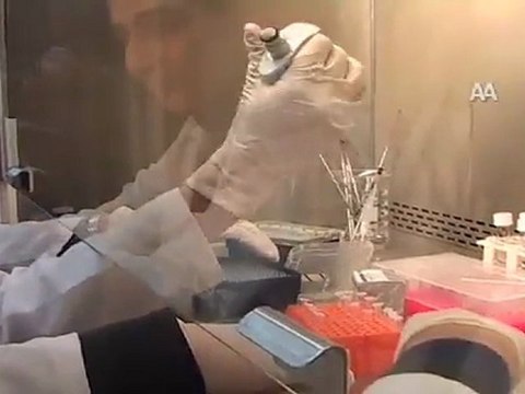 HAFIZA HÜCRELERİ ÜRETİLDİ