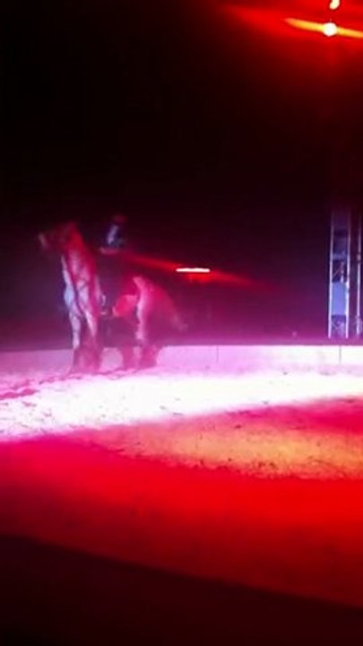 Spectacle Cirque Zavatta du 03/03/11