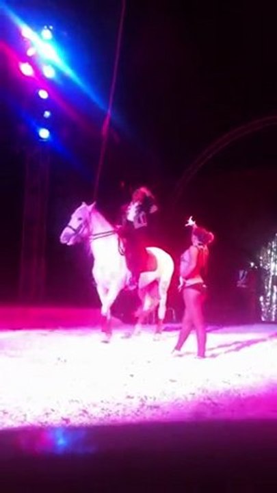 Spectacle Cirque Zavatta 03/03/11