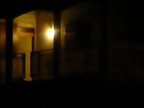 La nuit des grenouilles aux Antilles