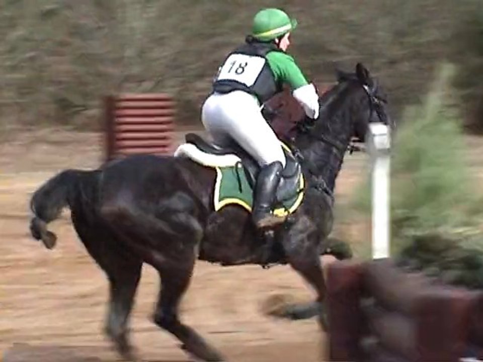 Virginie cross st mars