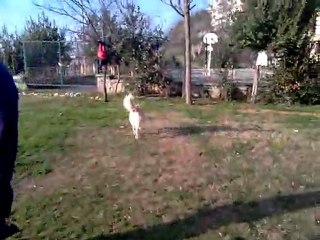 Mathilda ve goran ile ice