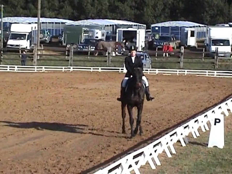 Virginie dressage St mars
