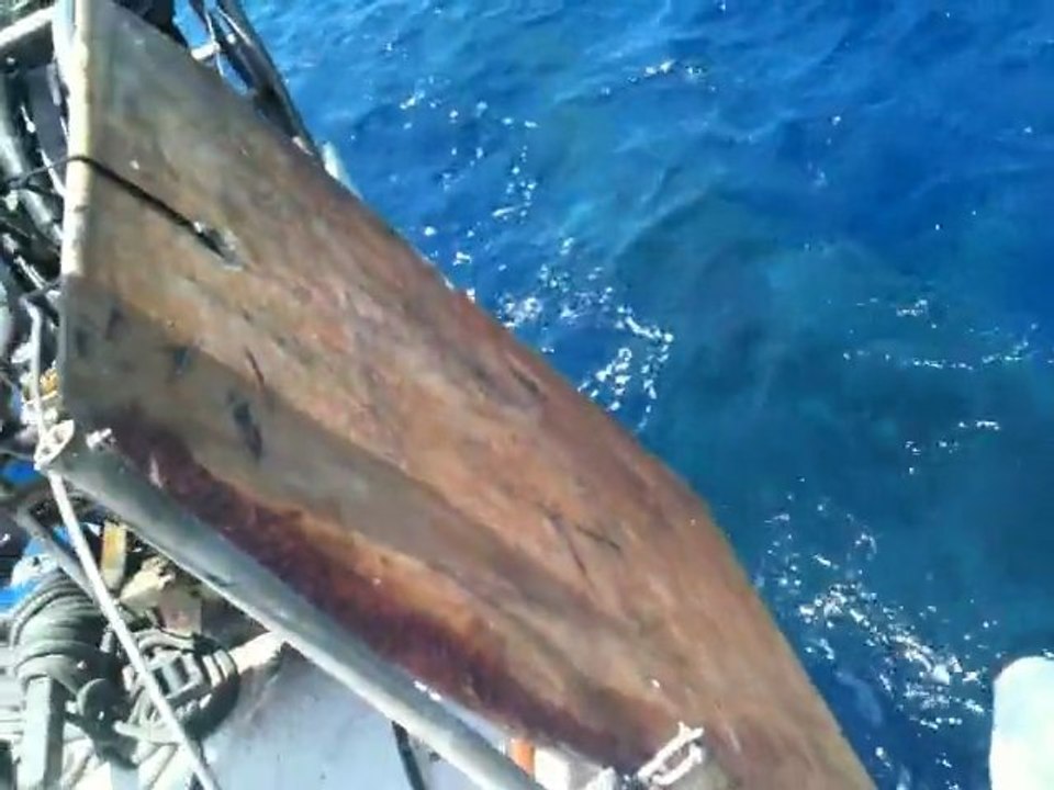 Malpelo