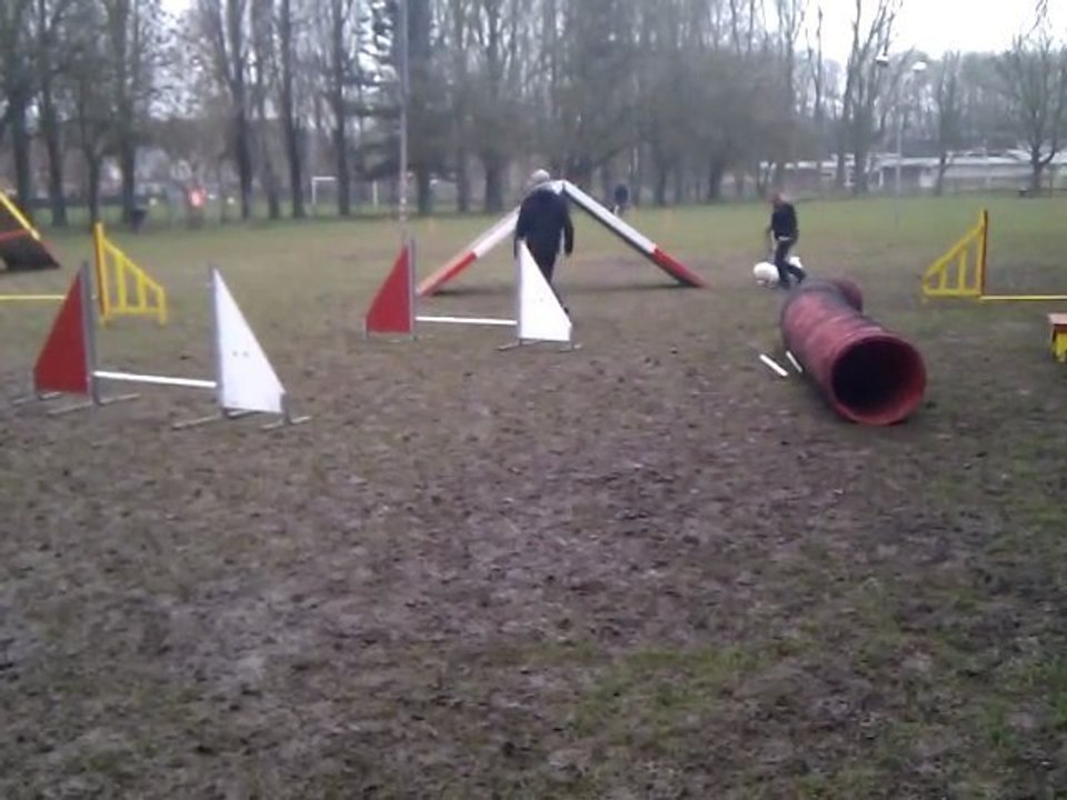 Cours d'acueil Agility