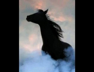 Yeni Türkü - Samsun Asfaltı