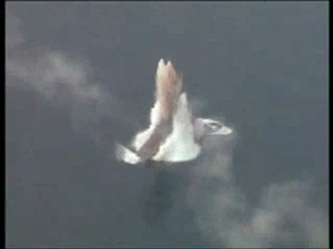 Mark Lex Eros - Torpedo Firing Footage