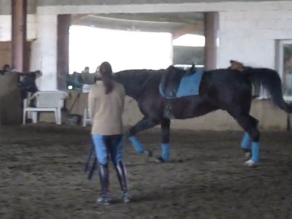 Romantic détente longe 03032011