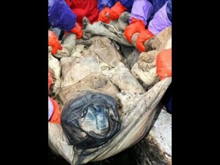 Çin'de bulunan 700 yıllık tarihi mumya !!!