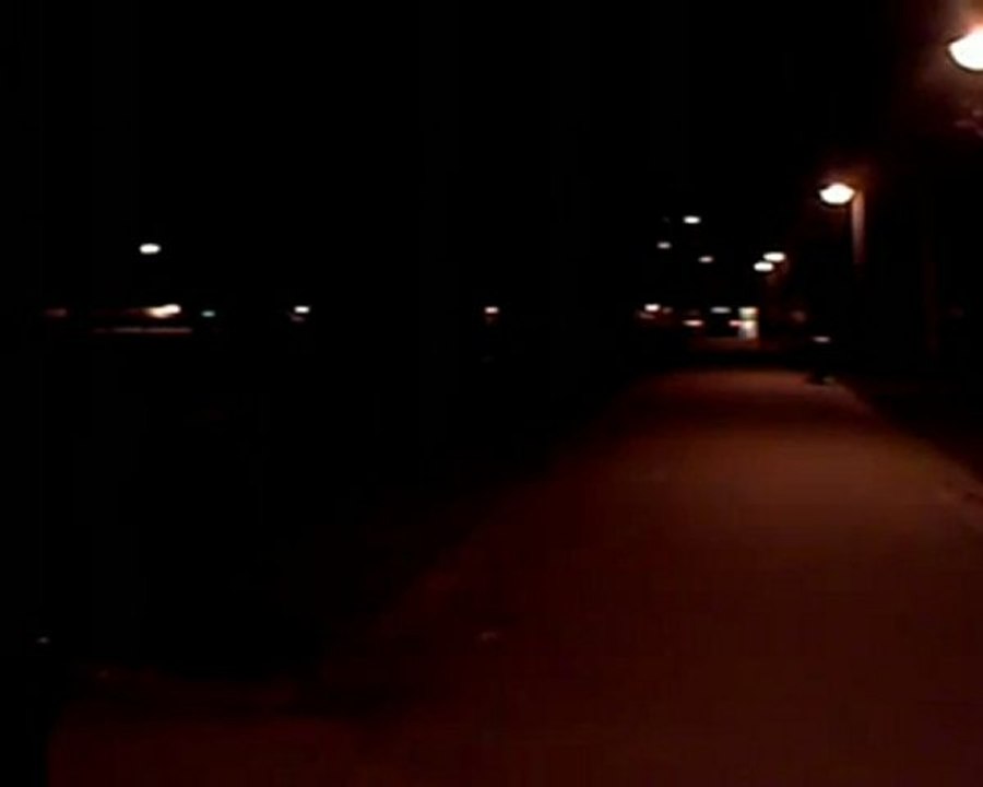 ALONE IN THE DARK