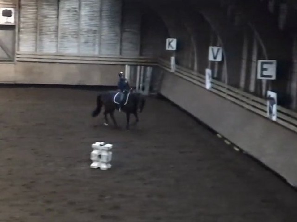 galop stage 4 mars 2011