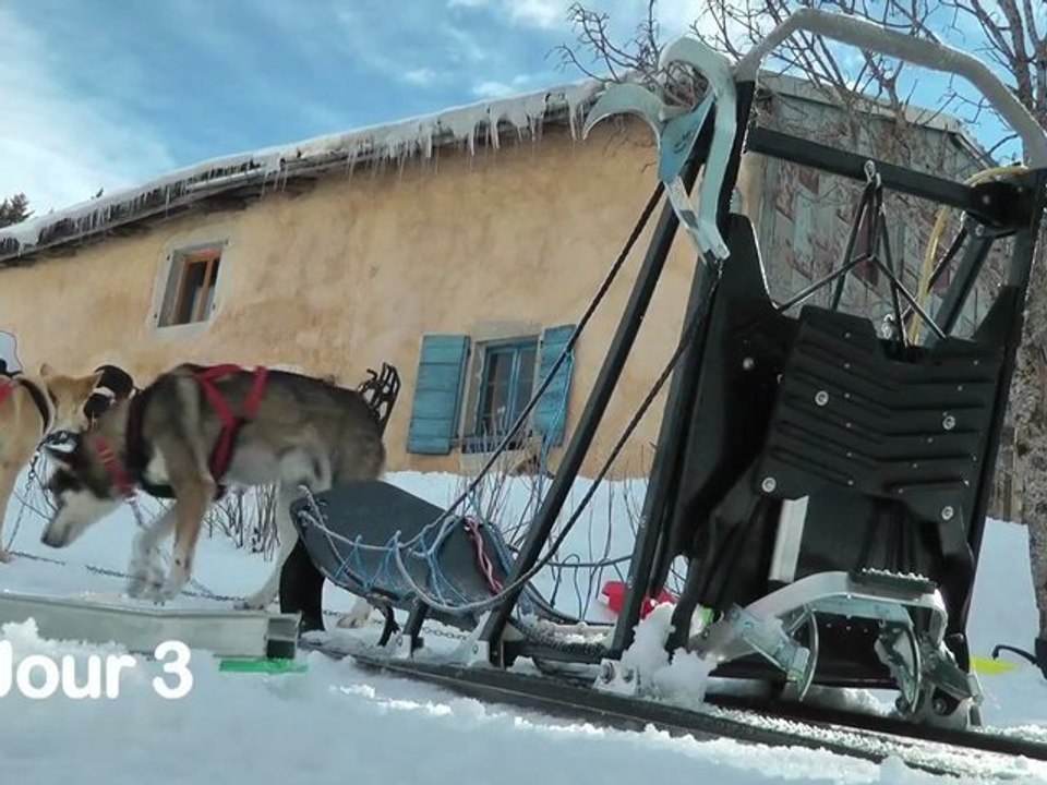 Montagnes du Jura : chiens de traîneau