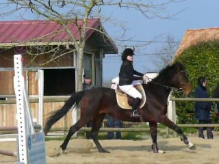concours du 6 mars 2011 sur Oups
