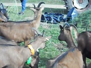 première sortie mars 2011 001