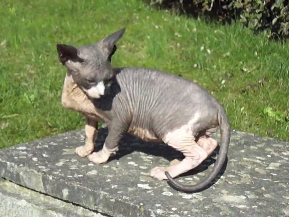 1ère sortie pour Feever à la découverte du monde extérieur