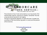 Tree Services Hackettstown NJ-Arborcare Tree Service