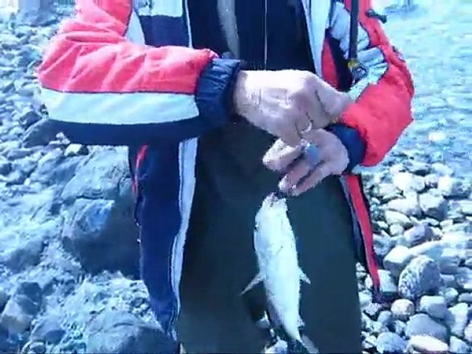 zeytinler