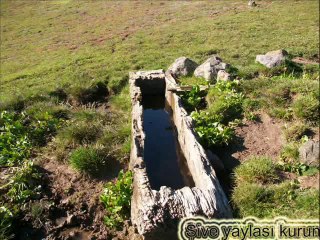 SİVE YAYLA VE MEZERE RESİMLERİ