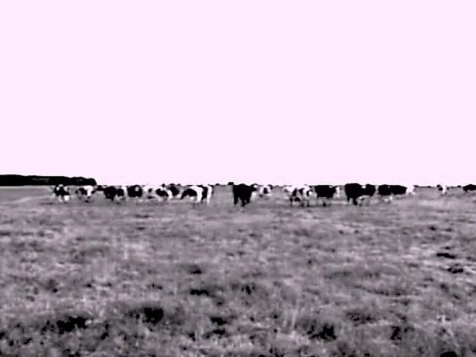 Les Pieds, Les Poings Liés (en images)