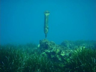 Historique du sentier sous-marin de Magaud