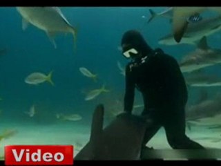 Köpekbalığı Amuda Kalktı