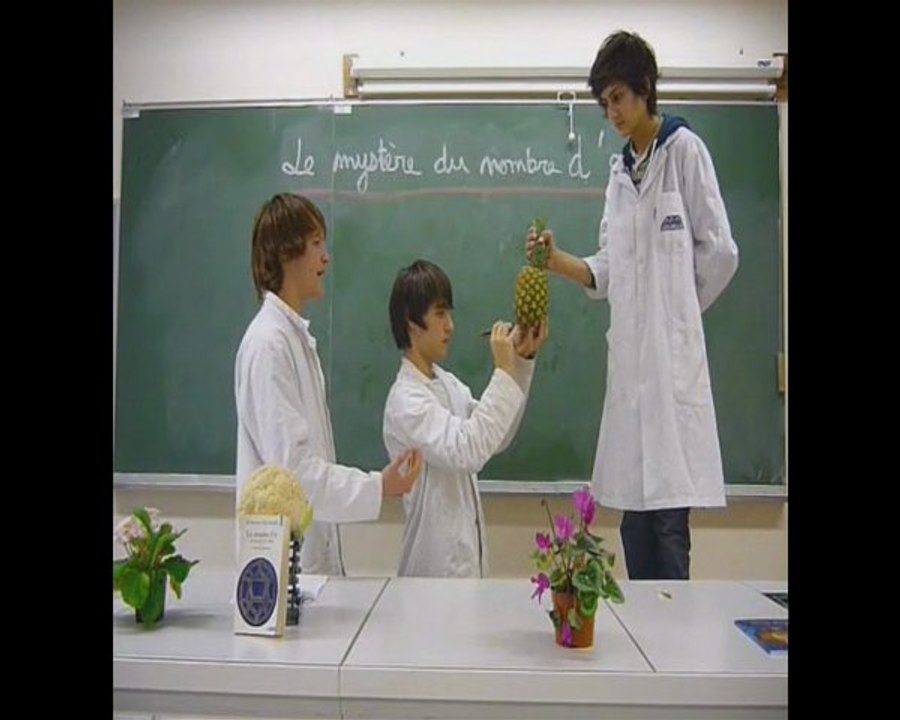 Un ananas d'or